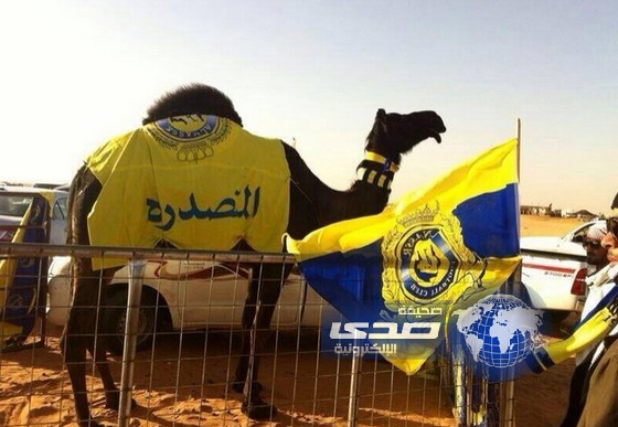 الناقة المتصدرة