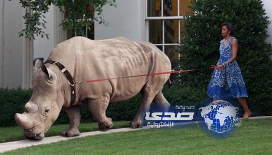 صورة: ميشيل أوباما تصدم الجميع بتنزهها مع وحيد القرن داخل حديقة البيت الأبيض !
