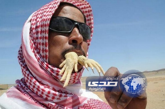 صورة شاب سعودي يأكل ضب حياً في تبوك أخُتيرت ضمن أغرب الصور في عام ٢٠١٣ من قبل مجلة مترو البريطانية