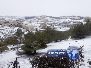 عروسان اردنيان يحتفلان بزفافهما رغم الثلوج