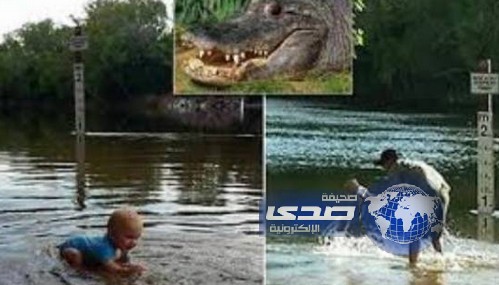 يعلمان رضيعهما السباحة في مستنقع تماسيح