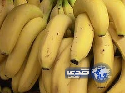 لص يبتلع سلسلة ذهب فتطعمه الشرطة 96 موزة لاستعادتها