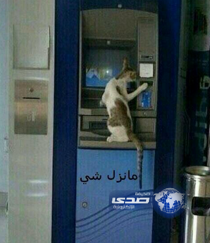 تأخر الراتب