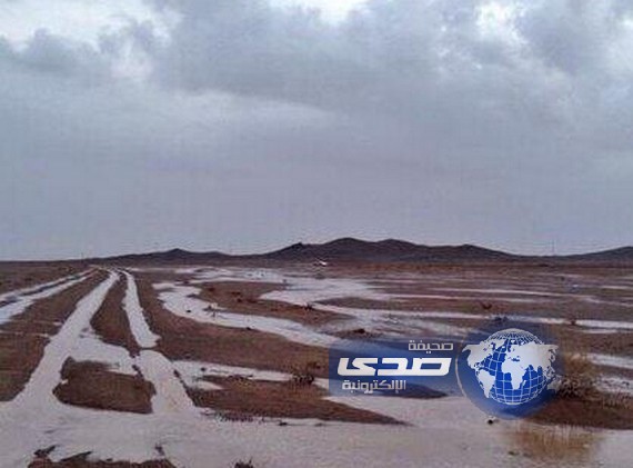 هطول امطار على منطقة حائل