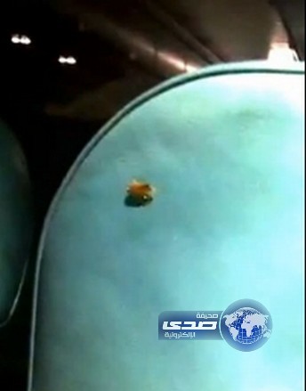 بالفيديو : مواطن يوثِّق جولة صرصورعلى متن الخطوط السعودية