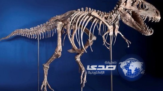 اكتشاف ديناصورات لأول مرة في تاريخ السعودية