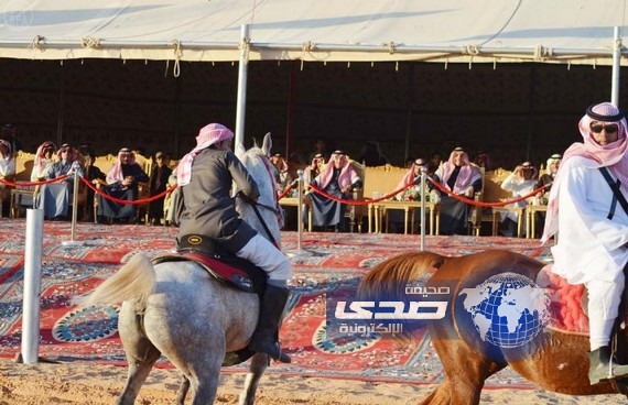 انطلاق مهر جان “خيل وهيل” في نسخته الرابعة بتبوك