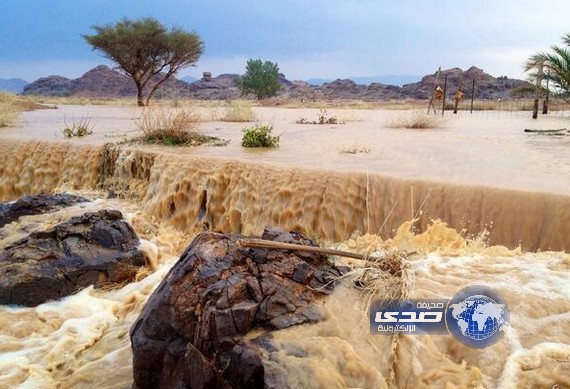 هطول أمطار غزيرة على منطقة حائل والمحافظات التابعة لها