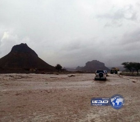 الدفاع المدني : العثور على جثة مفقود العلا