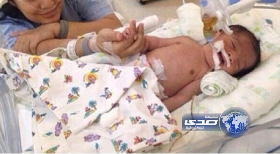 اختفاء الفنانة شهد بظروف غامضة.. ووالد زوجها يستولي على حسابها