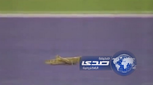 بالفيديو : جرادة عنيدة توقف مباراة تنس دولية بقطر وأميرها السابق يضحك ويصفق على الموقف
