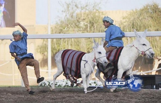 سمعنا بسباق الخيول لكن في عمان العكس