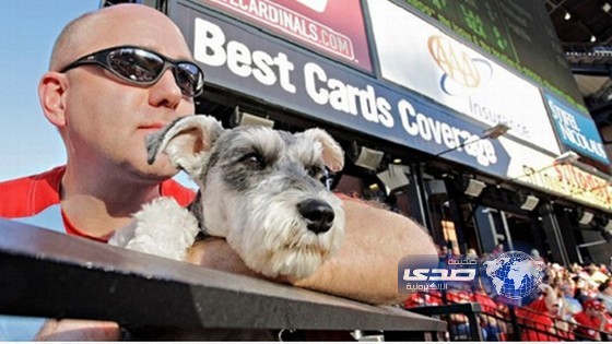 مشجع غاضب يقذف ” كلباً ” على حكم خلال مباراة في إسبانيا !