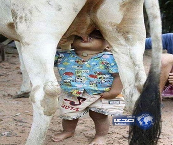 ياحليل الولد جوعان