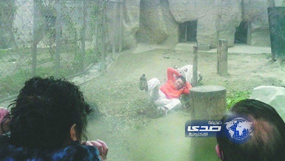 صيني يقفز في قفص نمرين متوحشين و النتيجة كانت ” مخيبة لآماله ”