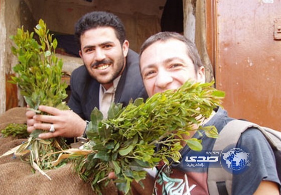 إذاعة هولندا العالمية : شباب اليمن عاجزون جنسيا بسبب القات