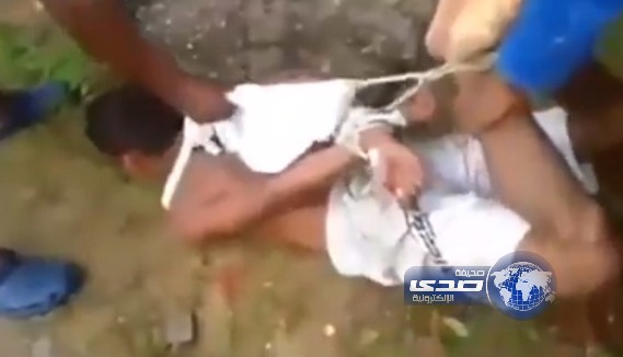 بالفيديو.. تعذيب لص بلدغات الحشرات