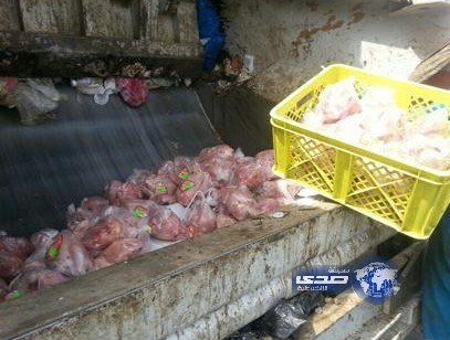 إتلاف 2500 دجاجة فاسدة.. وإغلاق محال مخالفة في جدة