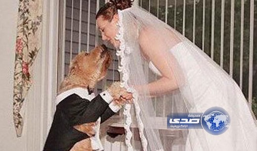 بعد خيانة الرجال لها إمرأة تتزوج كلبها