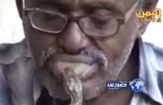 بالفيديو أسره يمنية تعيش مع الأفاعي