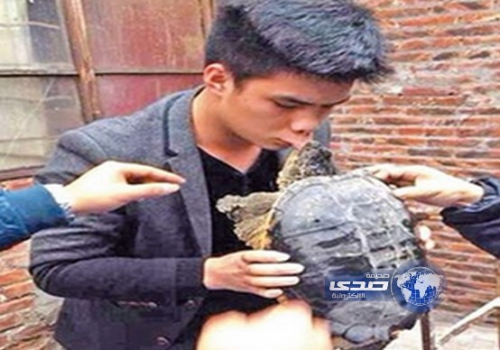 سلحفاه تقطع شفة رجل حاول تقبيلها