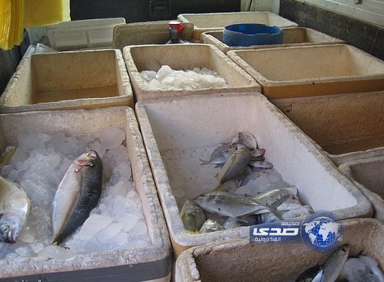 بلدية بريمان بجدة تضبط 4 أطنان من الأسماك الفاسدة
