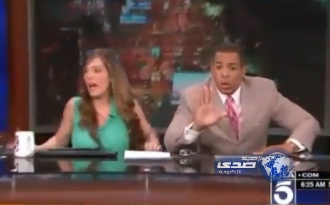 بالفيديو.. لحظات مرعبة لمذيعين على الهواء أثناء هزة لوس أنجلوس