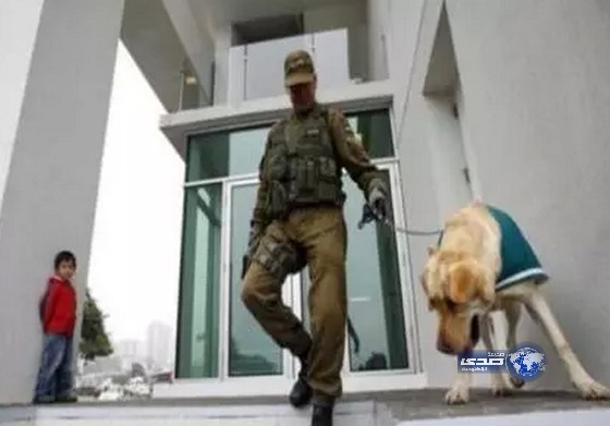 تقتله ثم ” تسلق أطرافه ” بسبب استيلاءه على مدخراتها