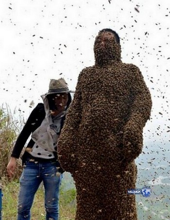 صيني يغطي نفسه بـ 460 ألف نحلة للترويج للعسل.!