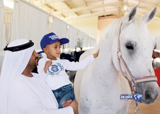 سلطان بن خليفة يحقق أمنية طفل ويهديه جواداً عربياً أصيلاً