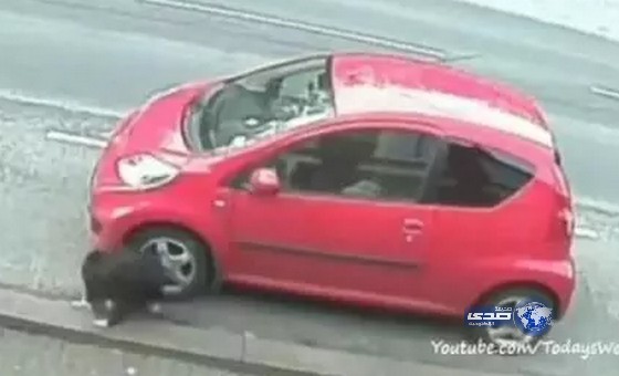 بالفيديو:كلب يفرغ إطارات سيارات من الهواء