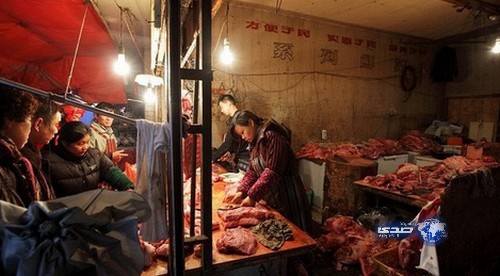 السجن عشر سنوات لكل من يأكل لحوم الحيوانات النادرة في الصين