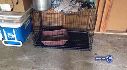 أم تحبس طفلها في قفص للكلاب