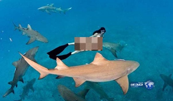 فتاة ة تسبح شبه عارية بين أسماك القرش!!