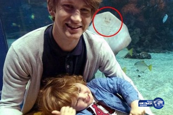 عندما تبتسم سمكة بشوشة أمام عدسات الكاميرا!!