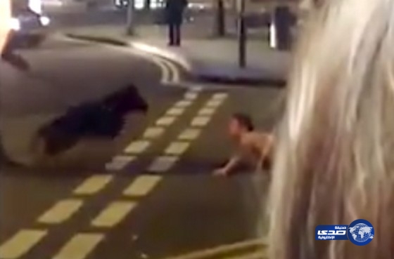 بالفيديو ..كلب بوليسي ينهش رقبة مشتبه به