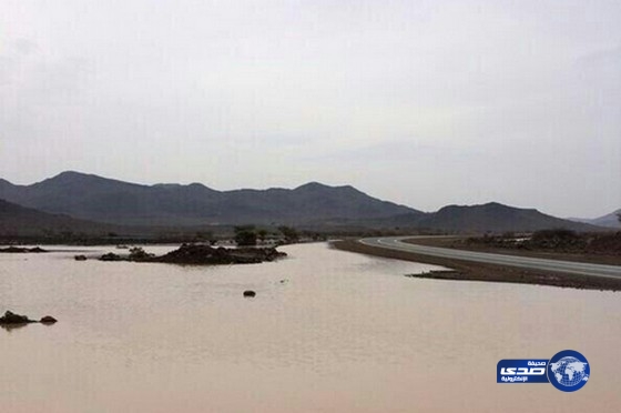 هطول أمطار على مكة المكرمة وجدة والطائف وتربة والجموم وحائل وبيشة