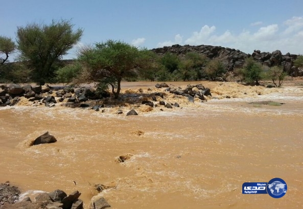 بالصور: محافظة الحائط تشهد هطول أمطار غزيرة