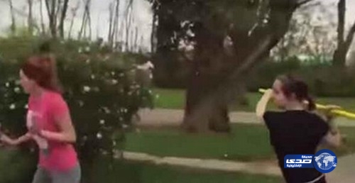 بالفيديو: عراكٌ بين مراهقتين تنتهي بضربة“كريك”