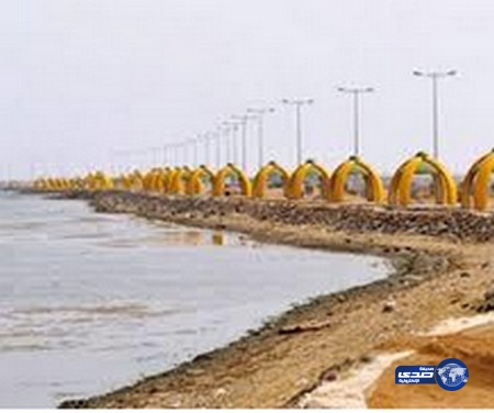 أسماك سامة تهاجم شاباً بشاطئ المظيلف وتتسبب في بتر رجله اليمنى