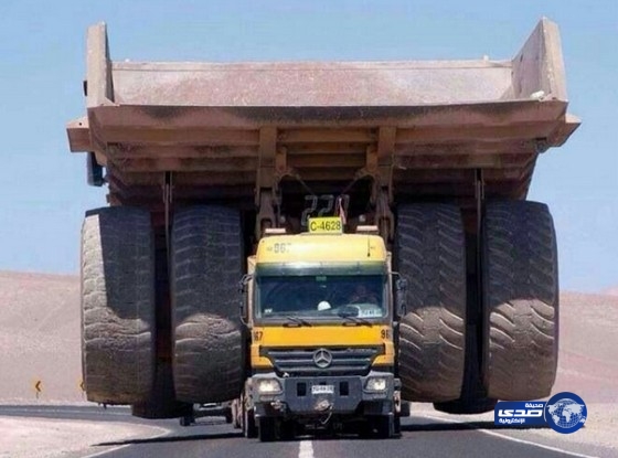 هذا كيف محمله!!