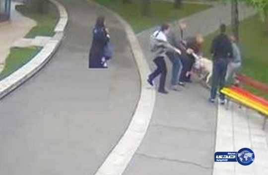 بالفيديو.. طفلة تنجو من هجوم ذئب قطبي حاول افتراسها