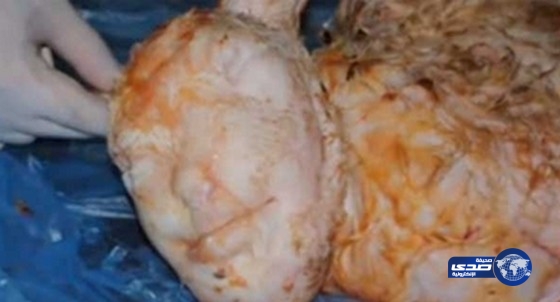 بالفيديو:ولادة حمل بوجه بشري