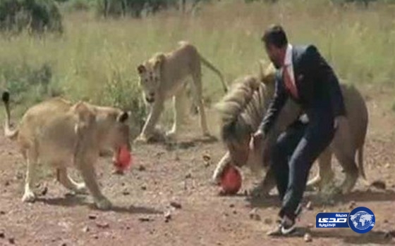 بالفيديو… رجل يلعب كرة القدم مع “3 أسود”!