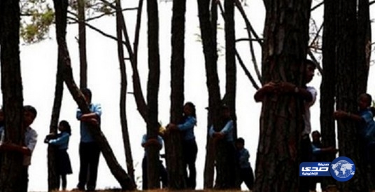 أكبر تجمع لعناق الأشجار في نيبال