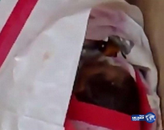 مجهول يلقي برضيعة أمام فندق بالمدينة فجرًا (فيديو)