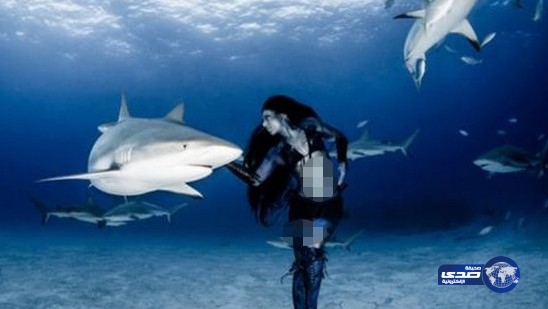 بالصور: عارضة أزياء تخاطر بحياتها للرقص مع أشرس أنواع القرش!