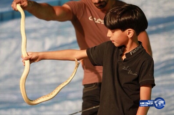 طفل سعودي يستعرض مع الأفاعي والعقارب بالخرج.. ويتعرض للدغة (صور)