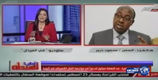 بالفيديو: مذيعة مصرية تغلق الهاتف في وجه سفير إثيوبيا بعد إهانتها على الهواء