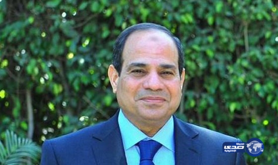 السيسي يطالب المصريين بضرورة الاصطفاف من أجل مصر